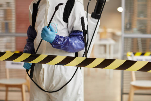Professional Sewage Cleanup technician working in Maryville, IL